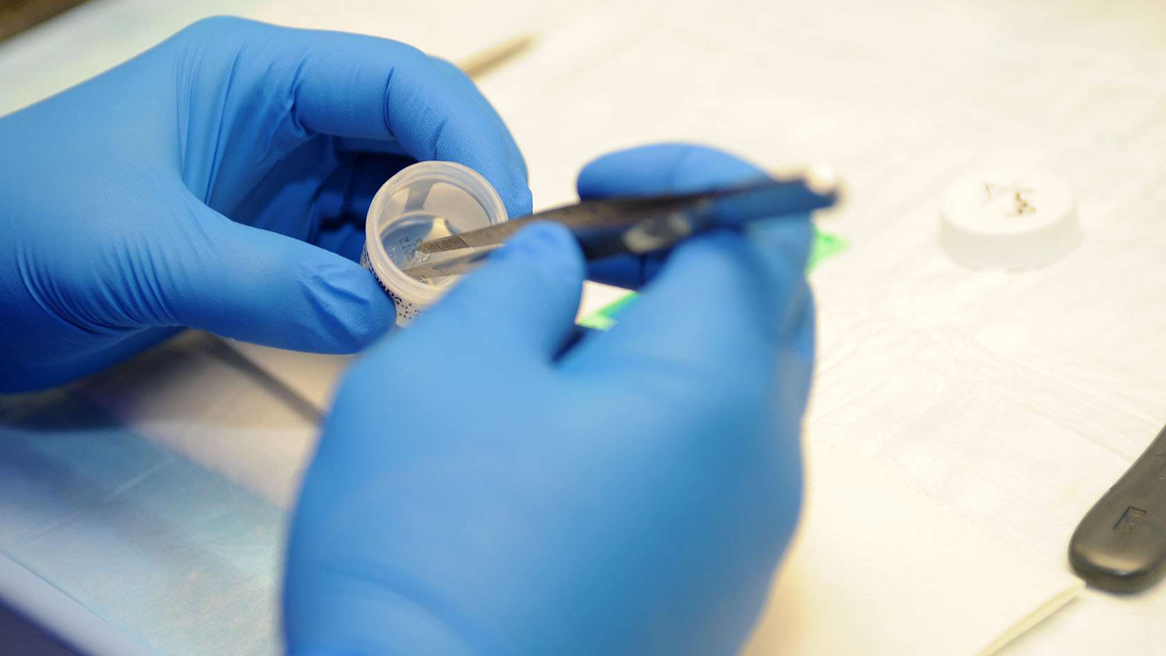 airman's hands performing lab work